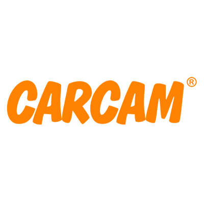 Ремонт сигвеев Carcam (Каркам)