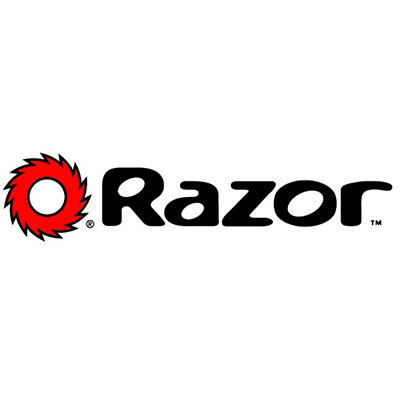 Ремонт гироскутера Razor (Разор)